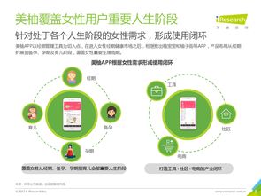 咨询研究企业视角下的互联网数据中心 以199it互联网数据服务为例